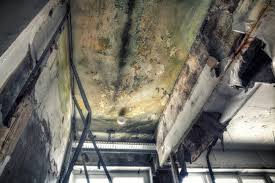 Best Mold Removal for HVAC Installations  in Marshville, NC